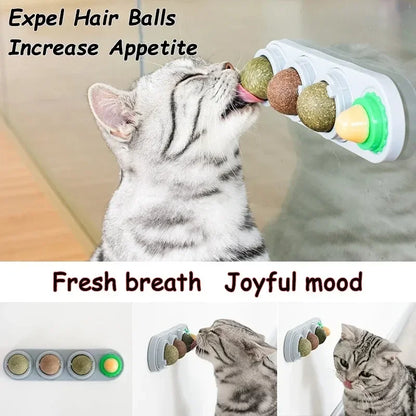 4 in 1 Rotating Catnip Silver Vine Ball Teeth Cleaning Acne Prevention Digestive Health Wall Stick on Toy Edible Safe Material